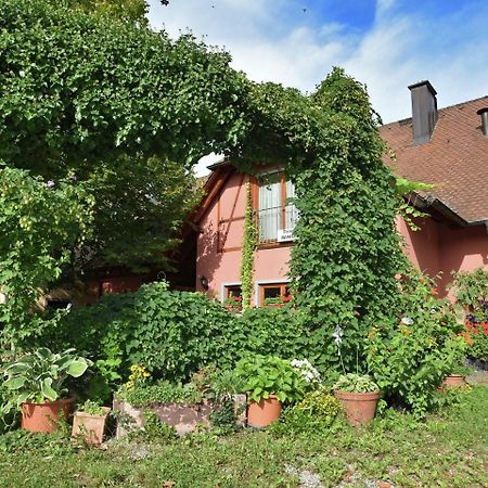 Countryside Apartment With Garden Schallstadt Exteriér fotografie