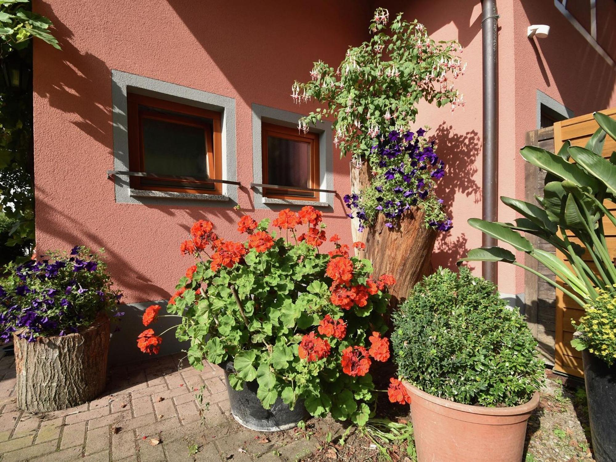 Countryside Apartment With Garden Schallstadt Exteriér fotografie